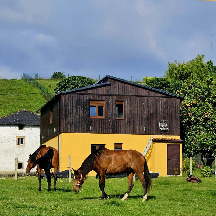 galeria_home07